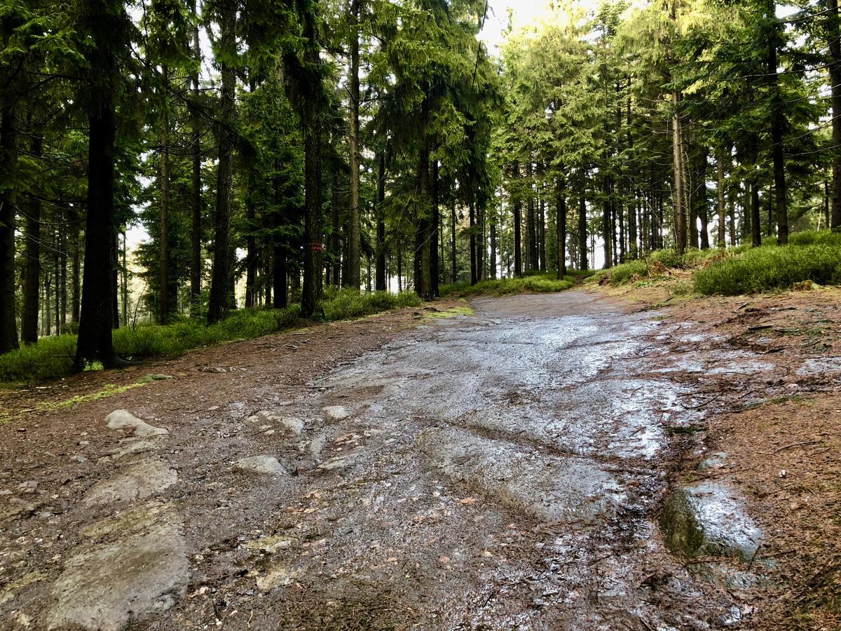 R&J apartmány Broumov Esterno foto